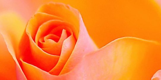 Lust und Wissen, Womens Ways mit Rose Fink, Rose